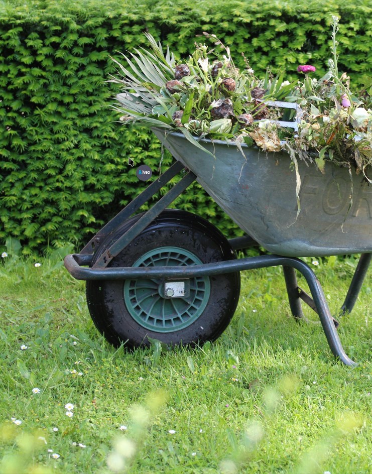 limpieza de jardines jardinesrg